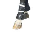 Horse Protection